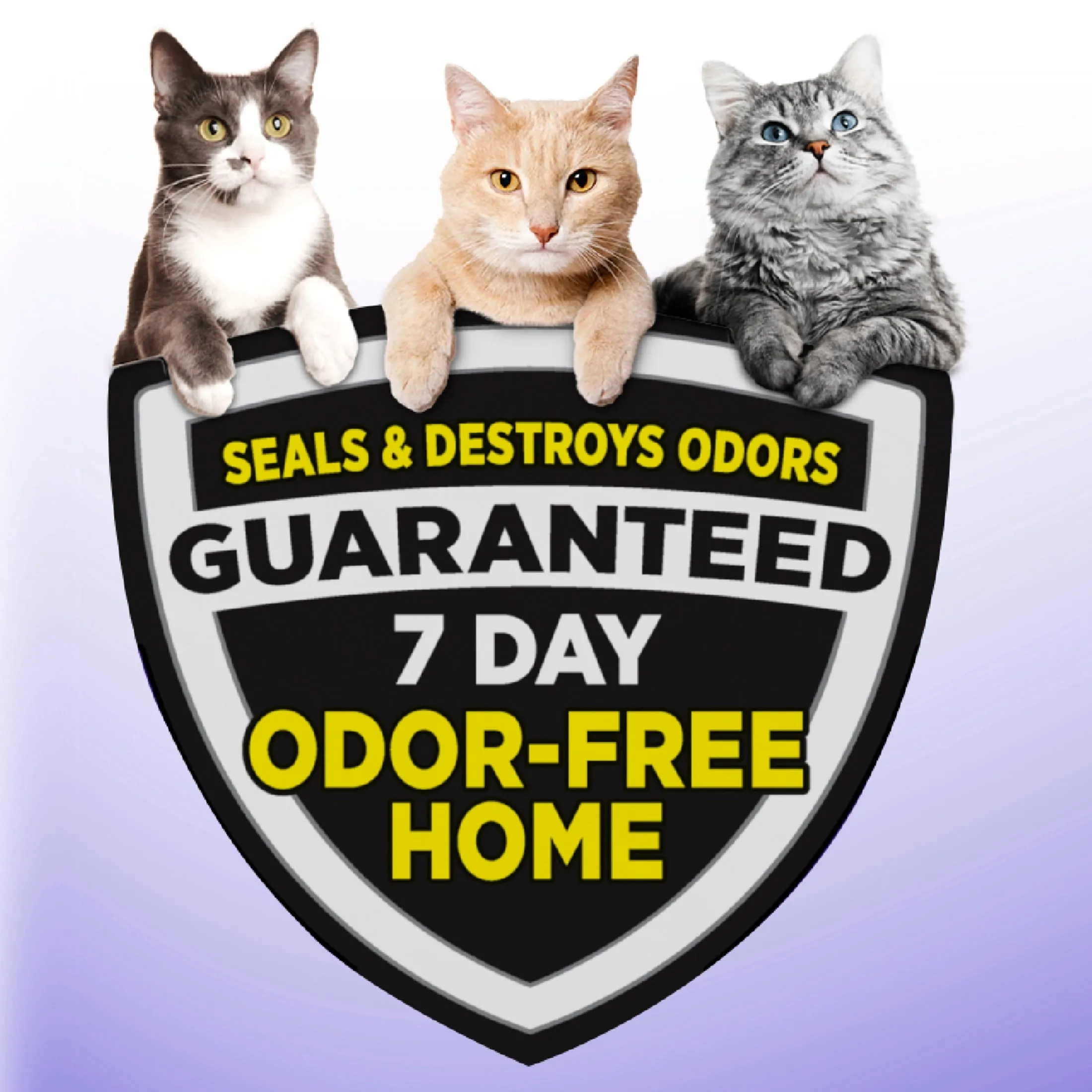 Clump & Seal SLIDE Cat Litter, Easy Clean-Up Multi-Cat Clumping Litter, 38 Lbs