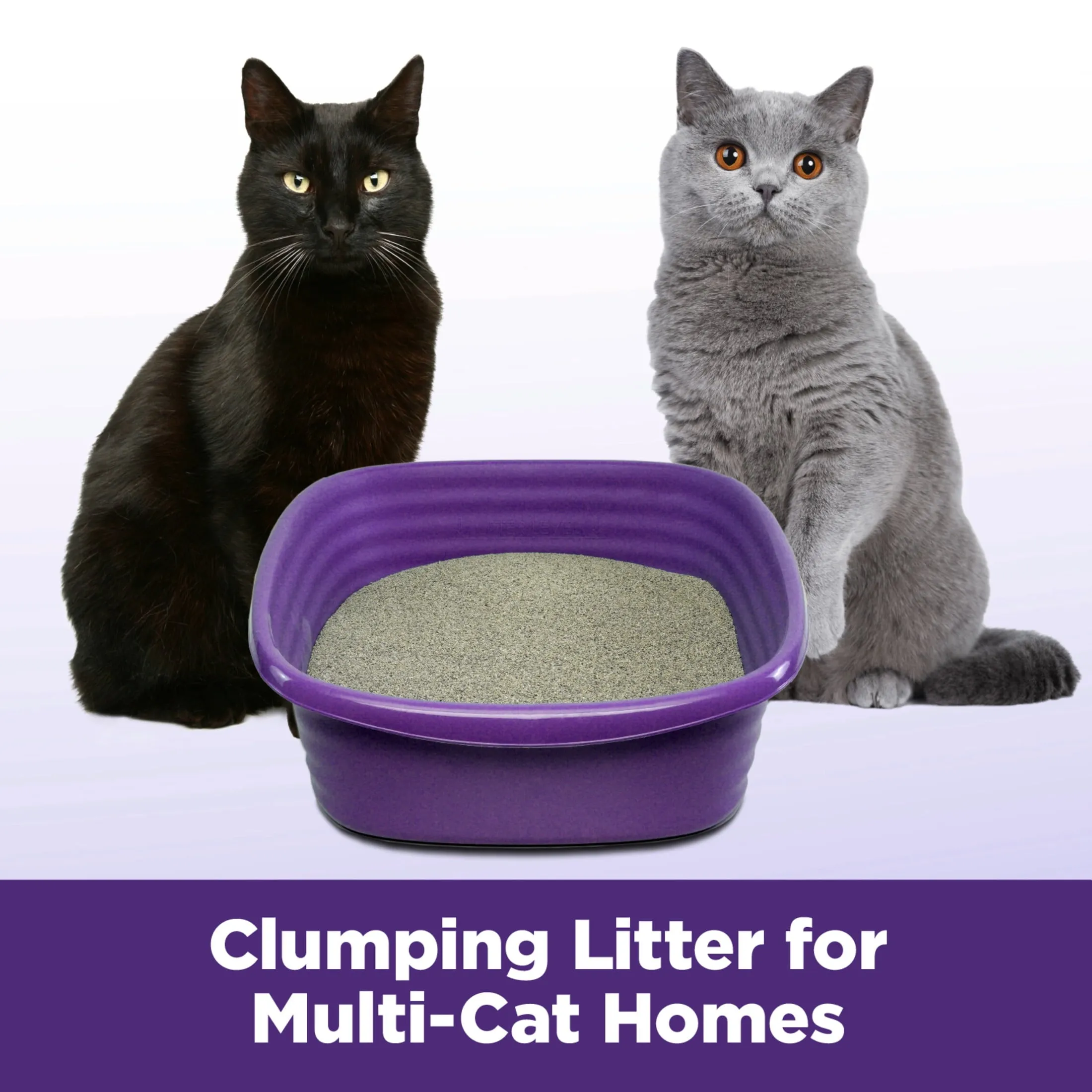 Clump & Seal SLIDE Cat Litter, Easy Clean-Up Multi-Cat Clumping Litter, 38 Lbs