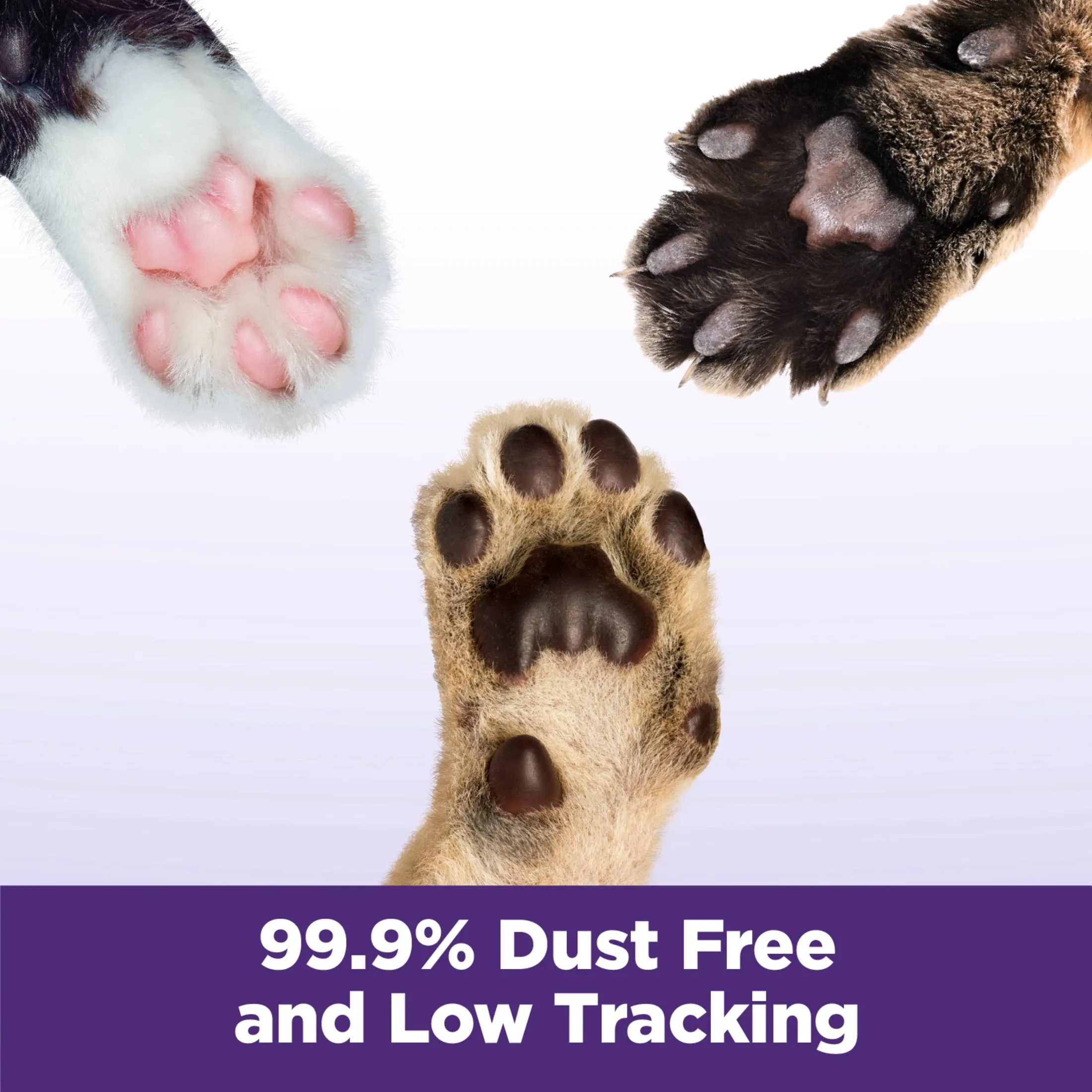 Clump & Seal SLIDE Cat Litter, Easy Clean-Up Multi-Cat Clumping Litter, 38 Lbs