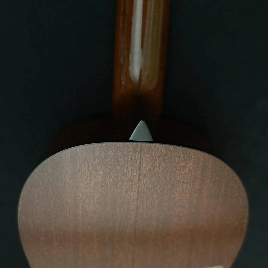 Collings Parlor 1T