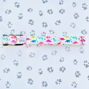 Dinos in Multicolors Collar