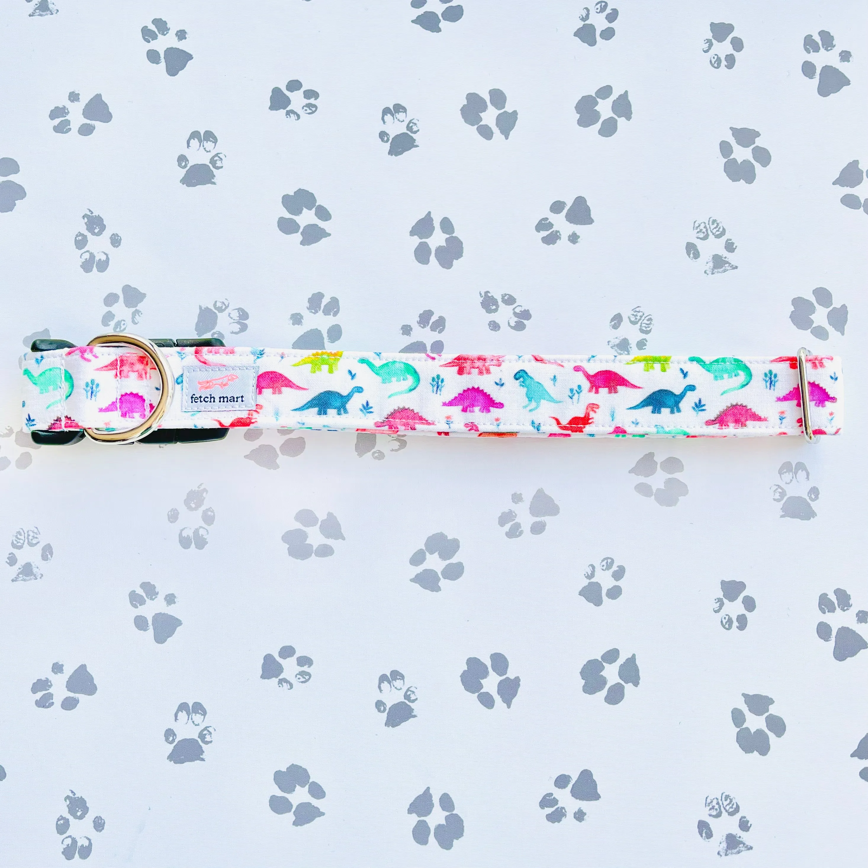 Dinos in Multicolors Collar
