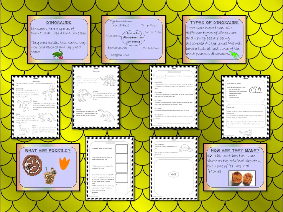 Dinosaurs Reports Unit