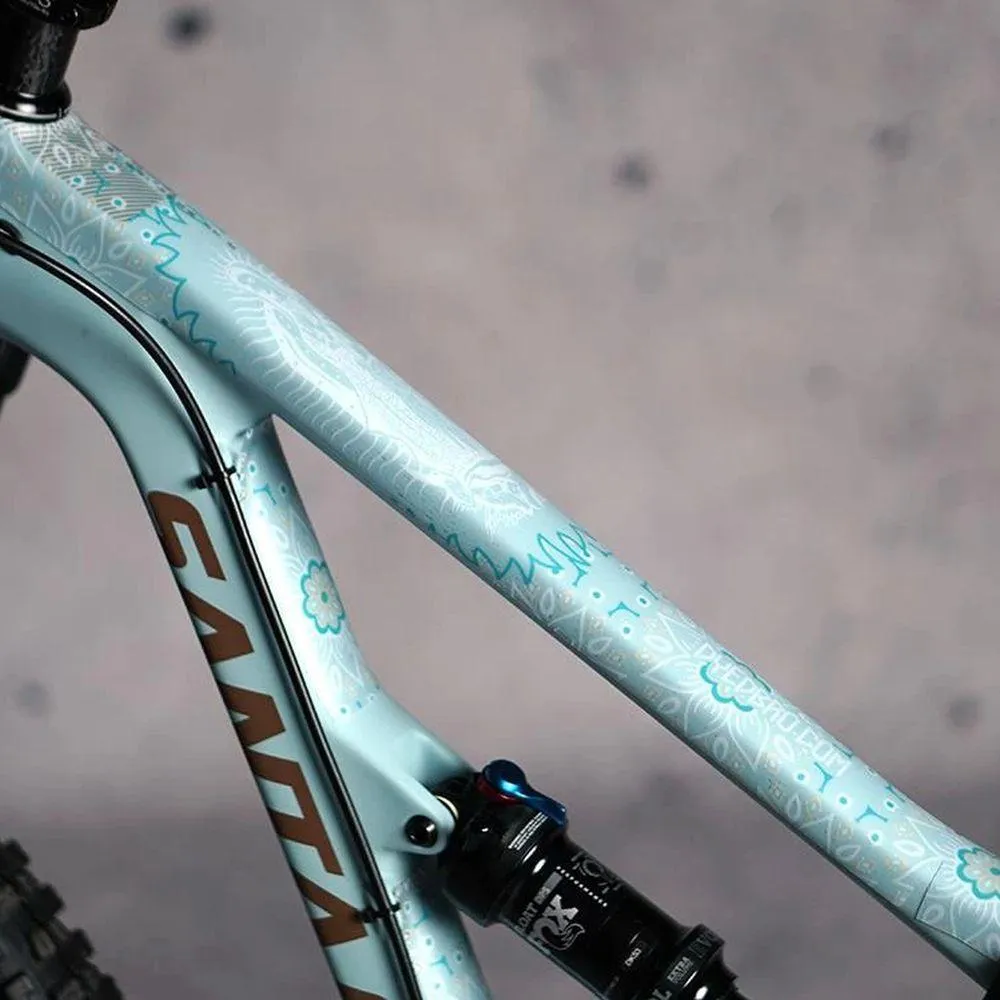 Dyedbro Guadalupe Frame Protection