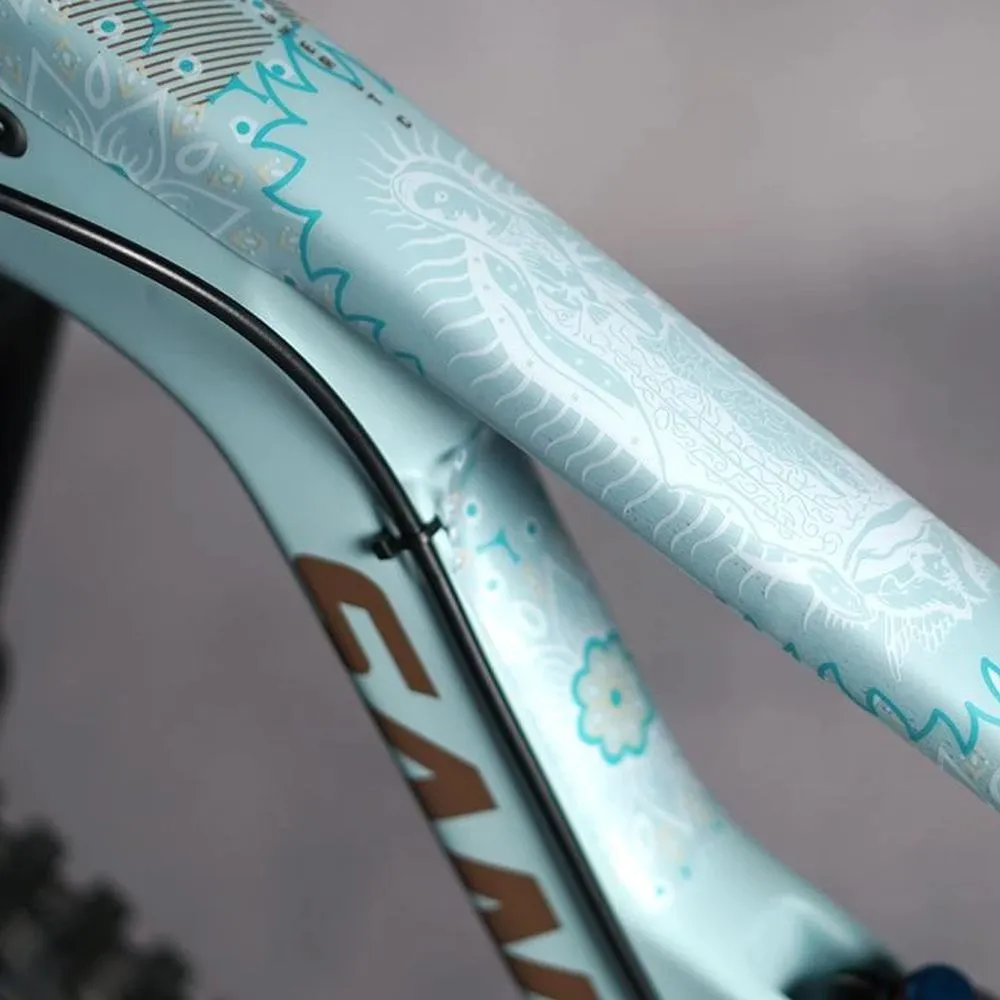 Dyedbro Guadalupe Frame Protection
