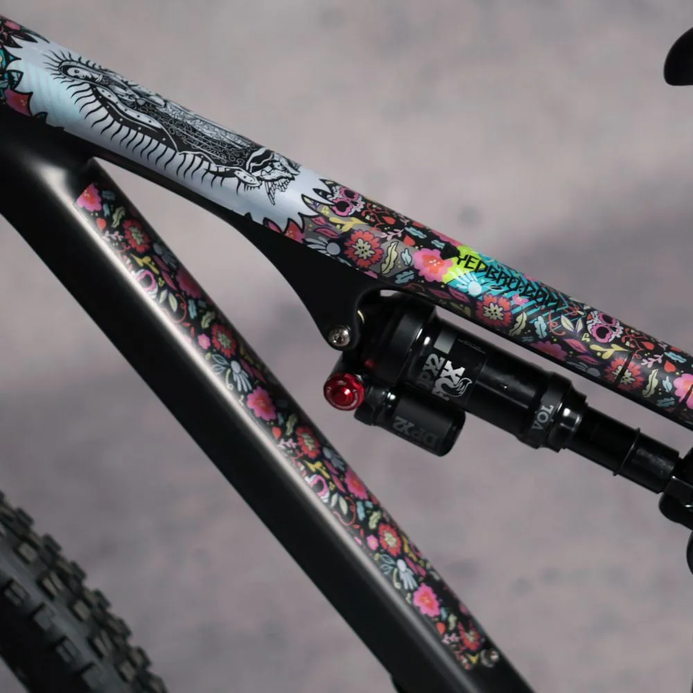 Dyedbro Guadalupe Frame Protection