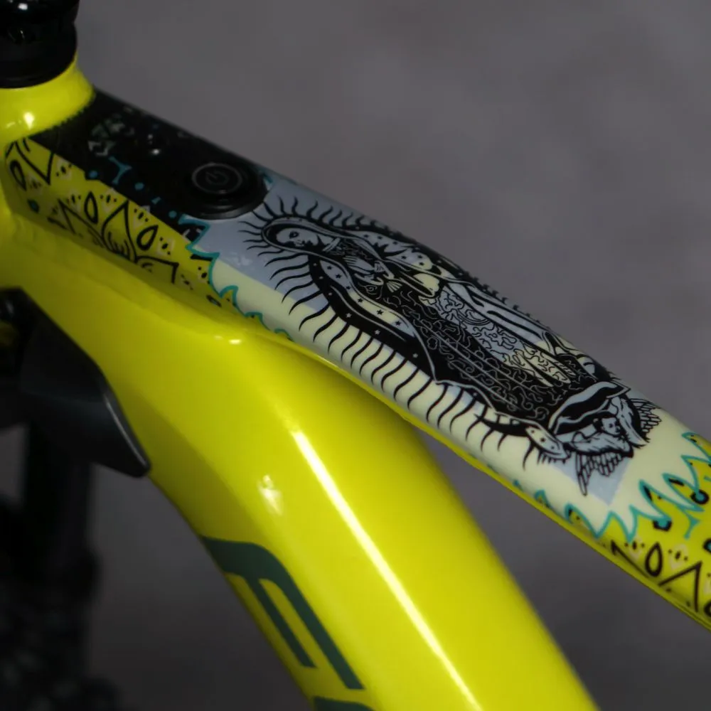 Dyedbro Guadalupe Frame Protection