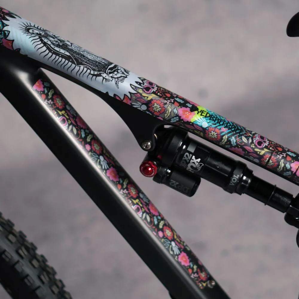 Dyedbro Guadalupe Frame Protection