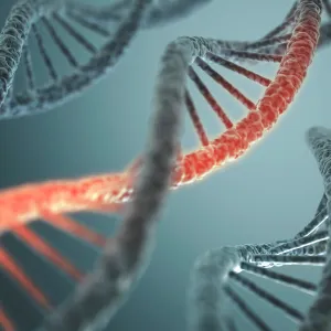 Gene Mutation