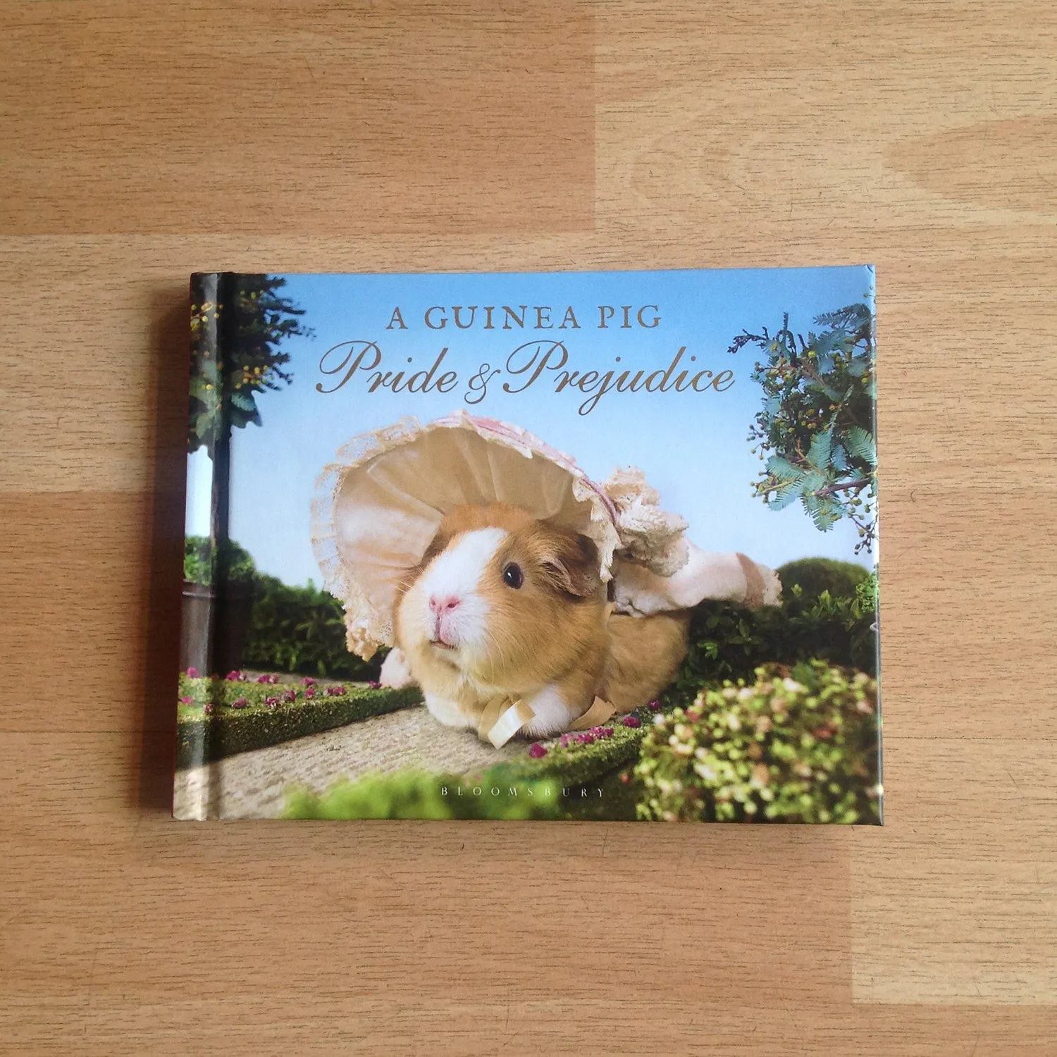 Guinea Pig Pride and Prejudice book