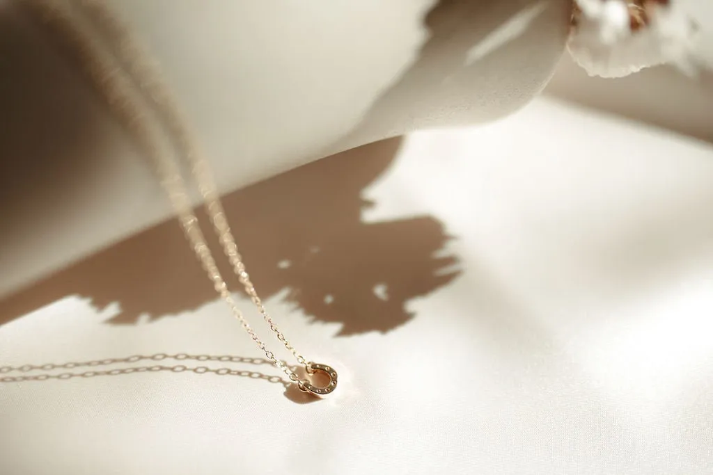 Horseshoe Necklace