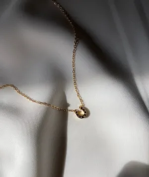 Horseshoe Necklace
