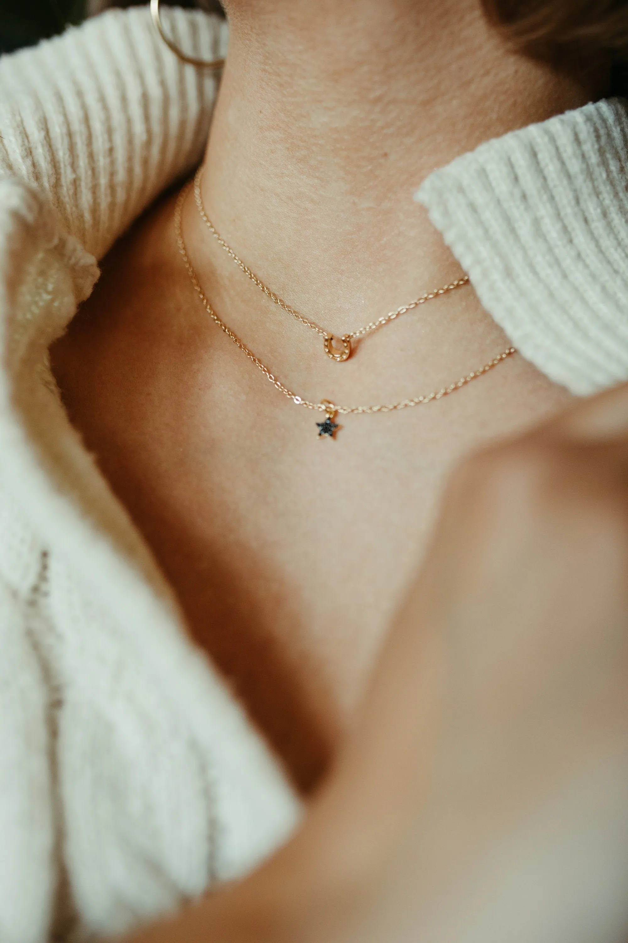 Horseshoe Necklace