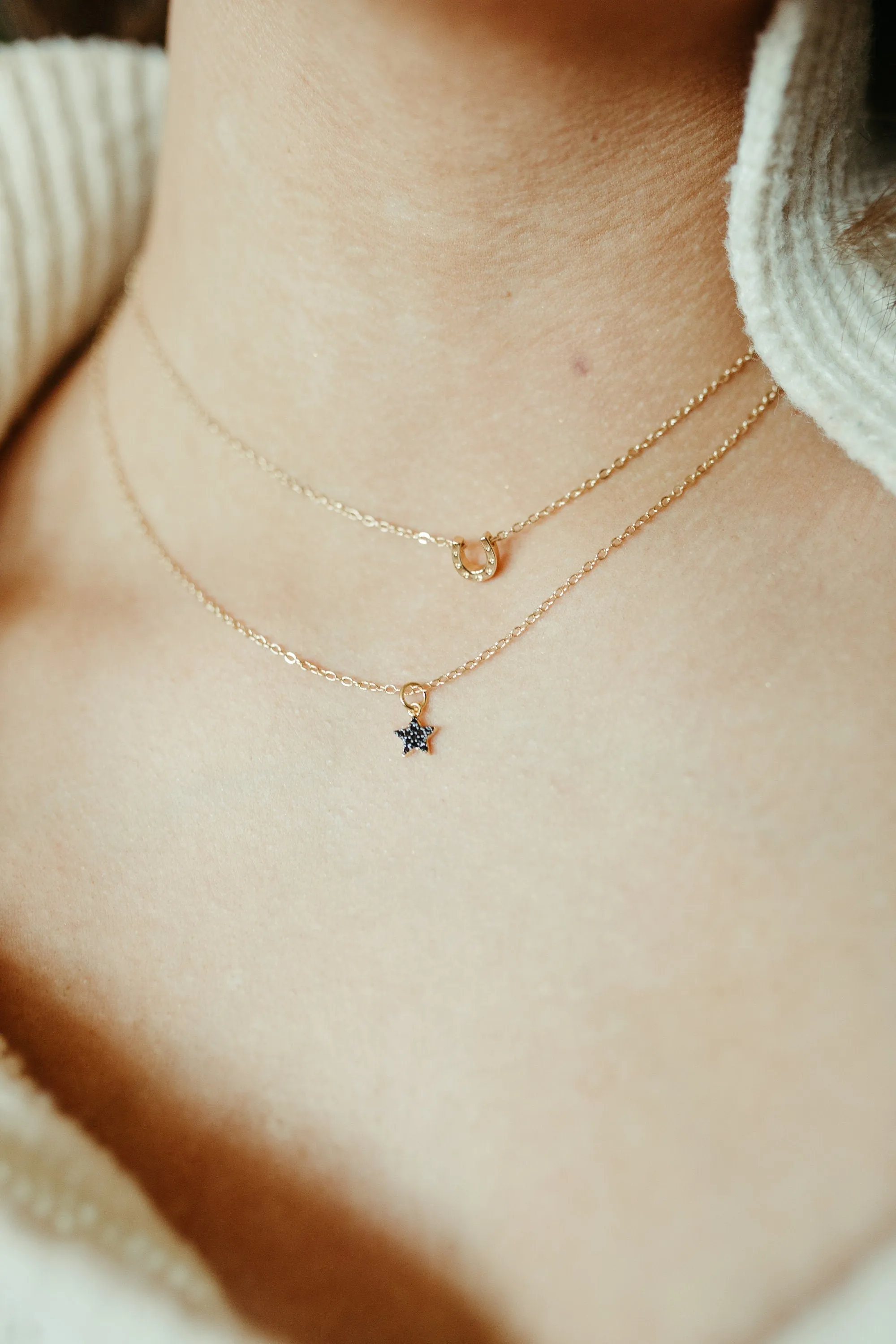 Horseshoe Necklace