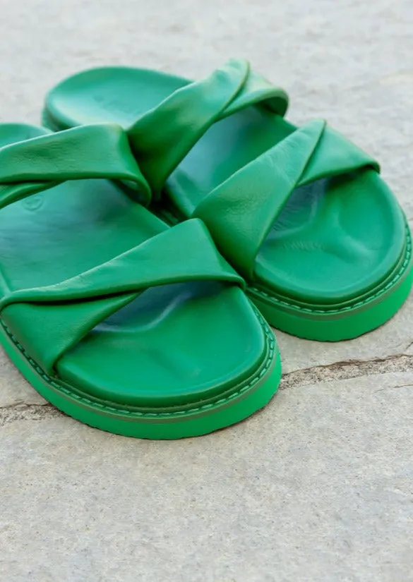 Human AHOY 23 Slides Apple Green