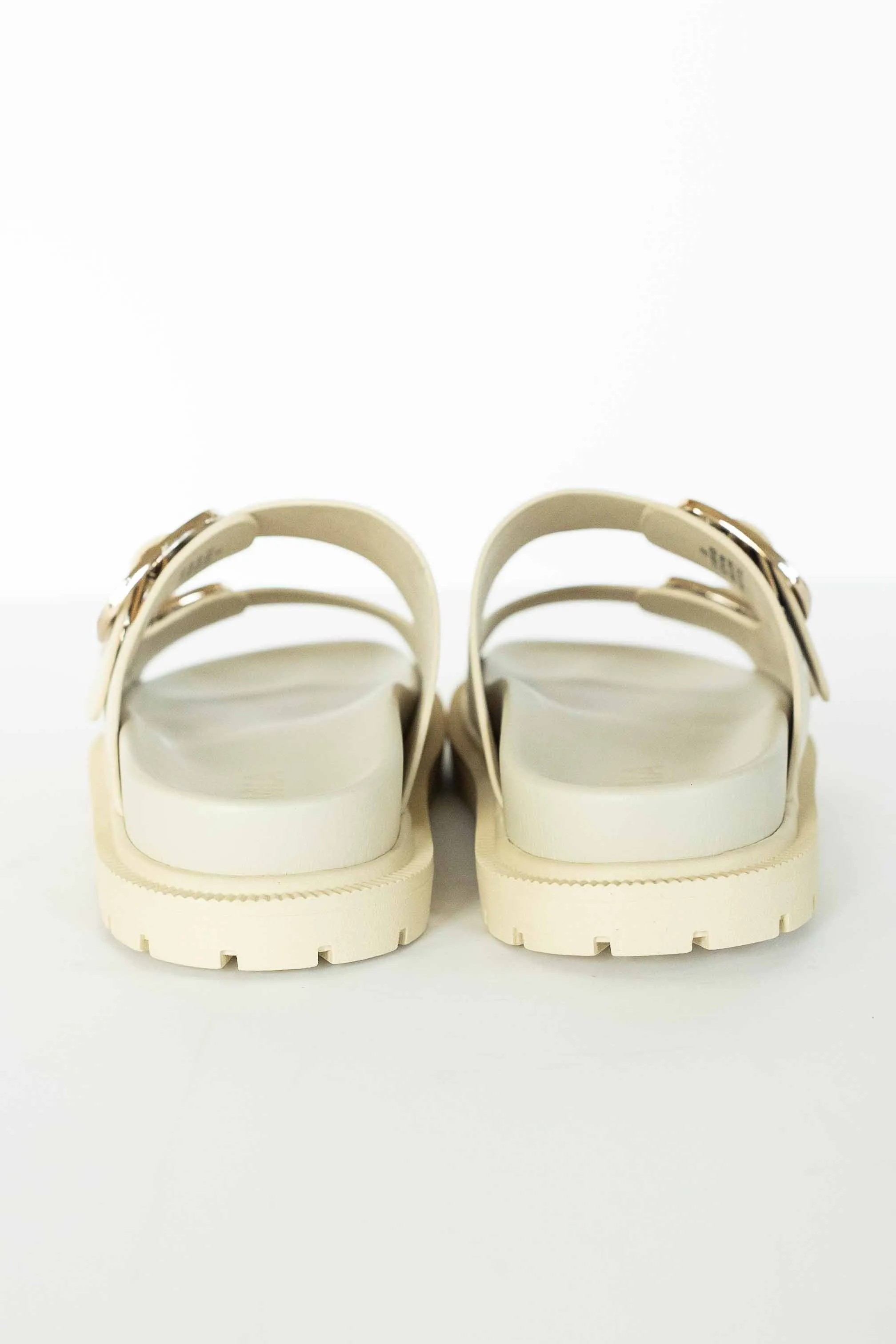 [MIA] GEN SLIDES-SEASHELL