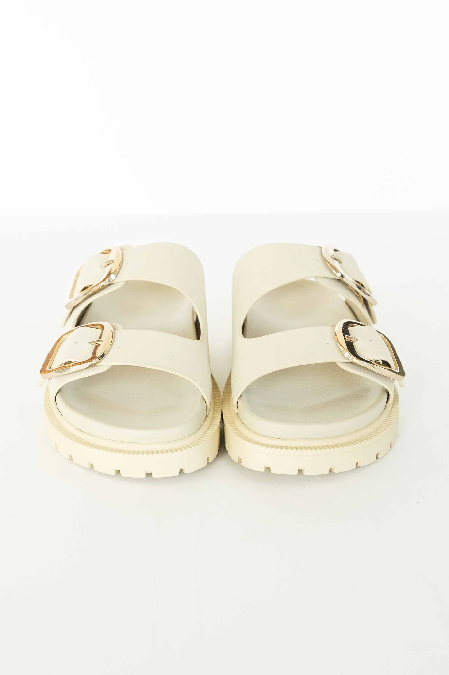 [MIA] GEN SLIDES-SEASHELL