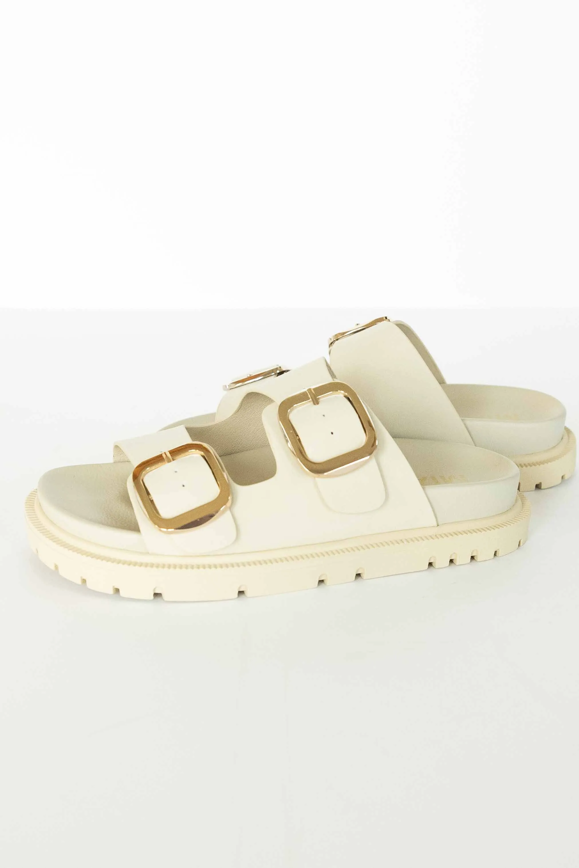 [MIA] GEN SLIDES-SEASHELL