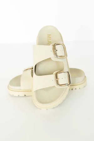 [MIA] GEN SLIDES-SEASHELL