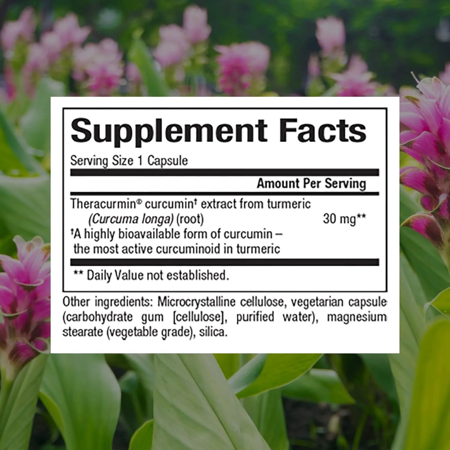 Natural Factors - CurcuminRich Theracurmin 30mg, Antioxidant Support for a Healthy Inflammatory Response, Comfortable Joints, a Healthy Heart, and Circulation, 120 Vegetarian Capsules