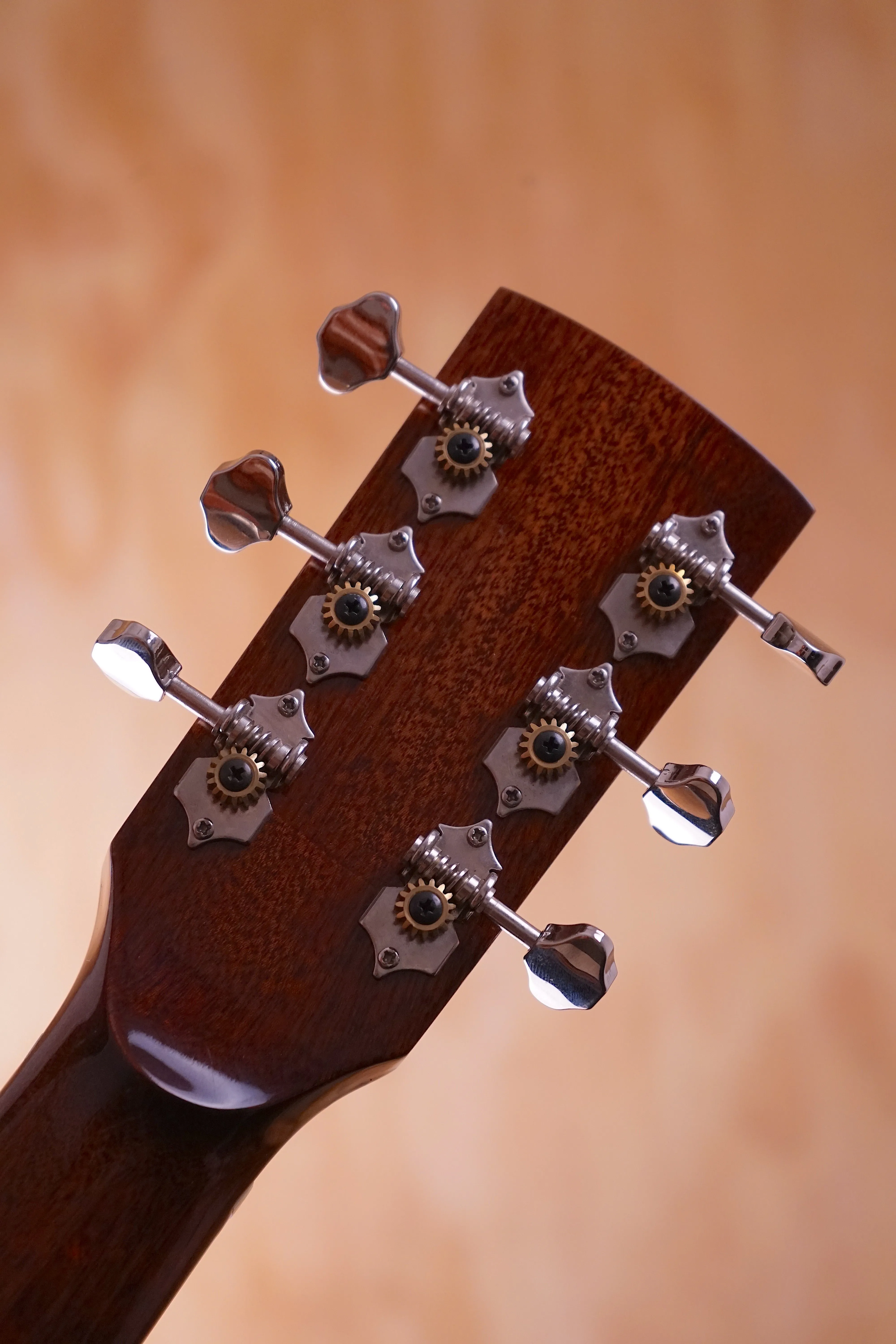 Regal RC-2 Resonator, USED