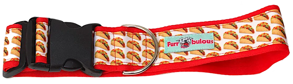 Sport Collar 2"