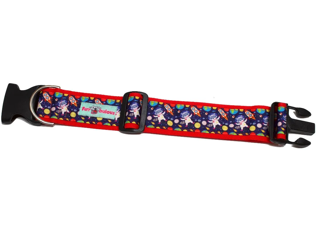 Sport Collar 2"