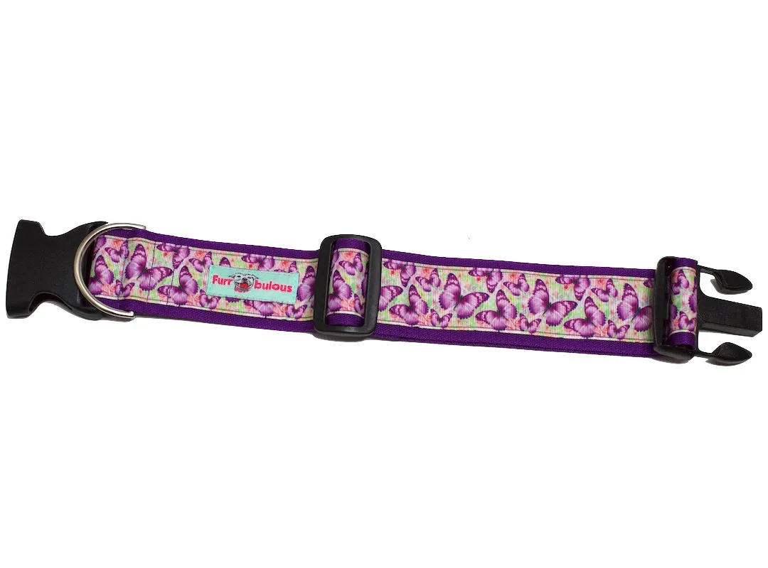 Sport Collar 2"