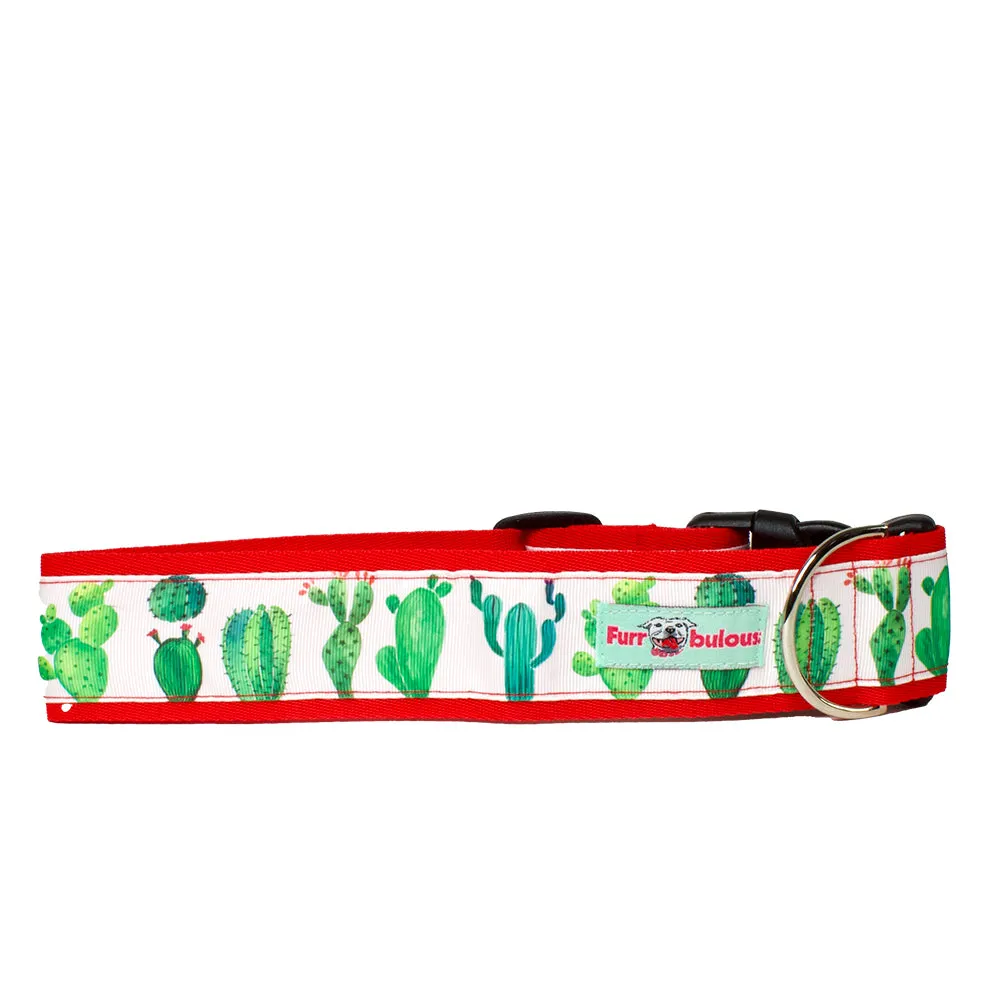 Sport Collar 2"