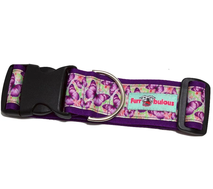 Sport Collar 2"