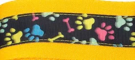 Sport Collar 2"