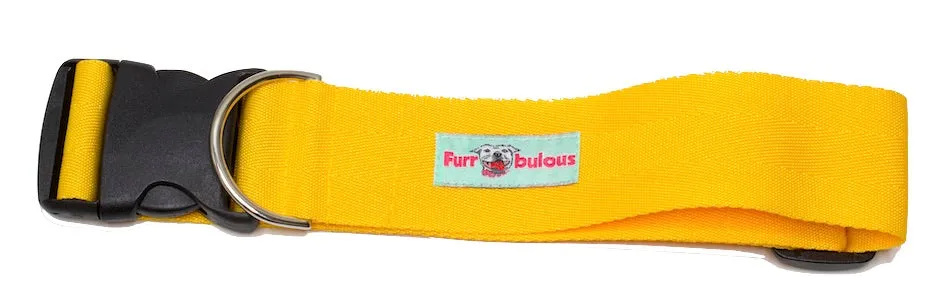 Sport Collar 2"