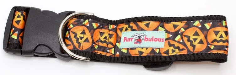 Sport Collar 2"