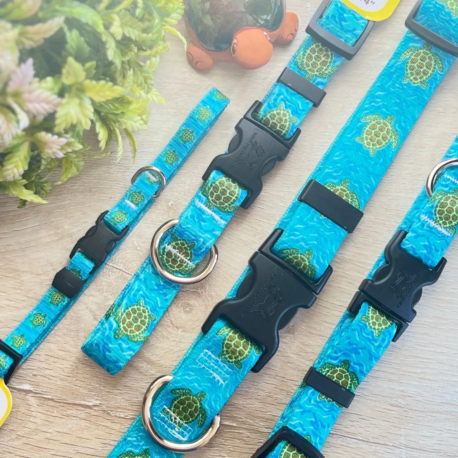 Swimming Sea Turtles Dog Collars