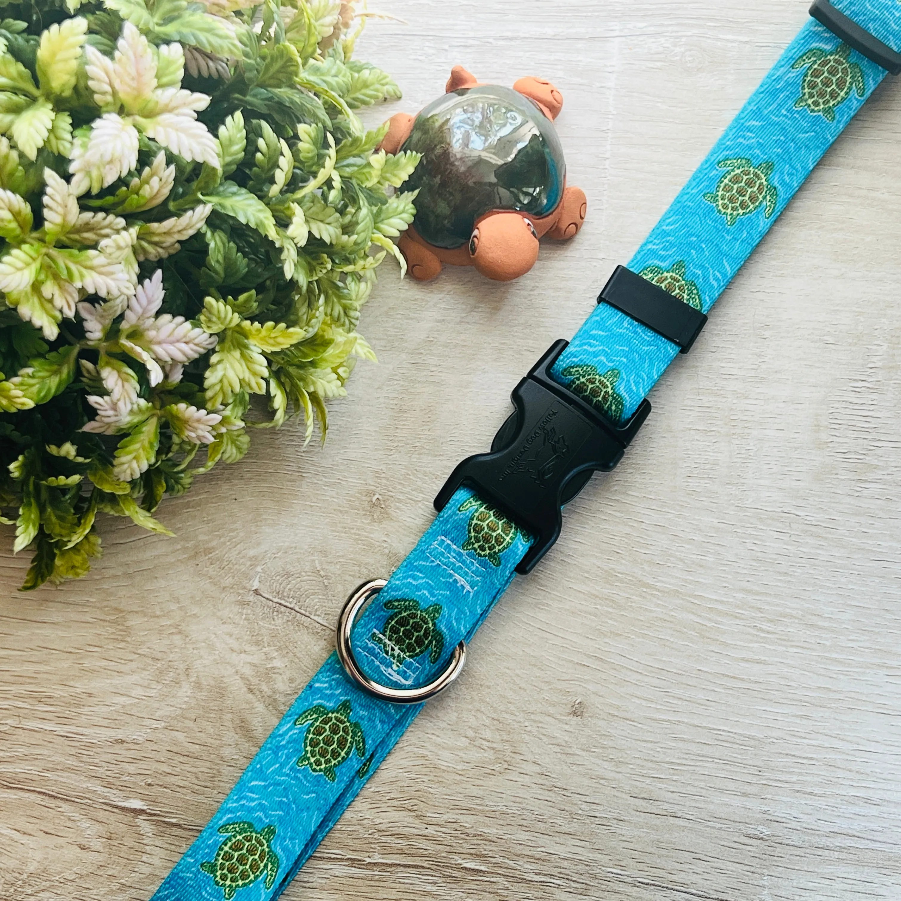 Swimming Sea Turtles Dog Collars