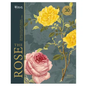 The Rose