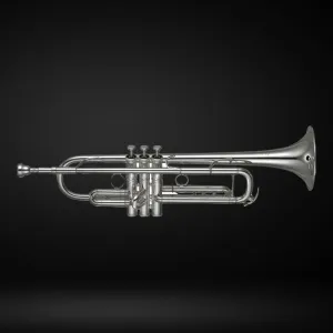 Yamaha YTR-8335IIRS Xeno Bb Trumpet w/Double Case, Silver